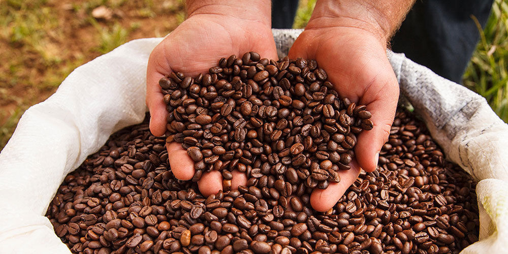 Coffee Beans